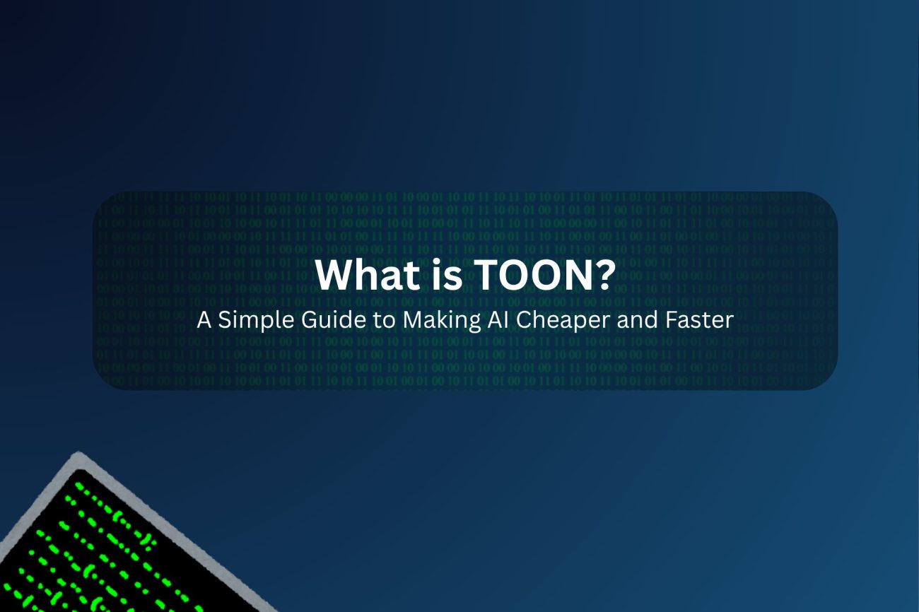 What is TOON